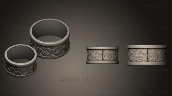 Jewelry rings (JVLRP_0204) 3D model for CNC machine